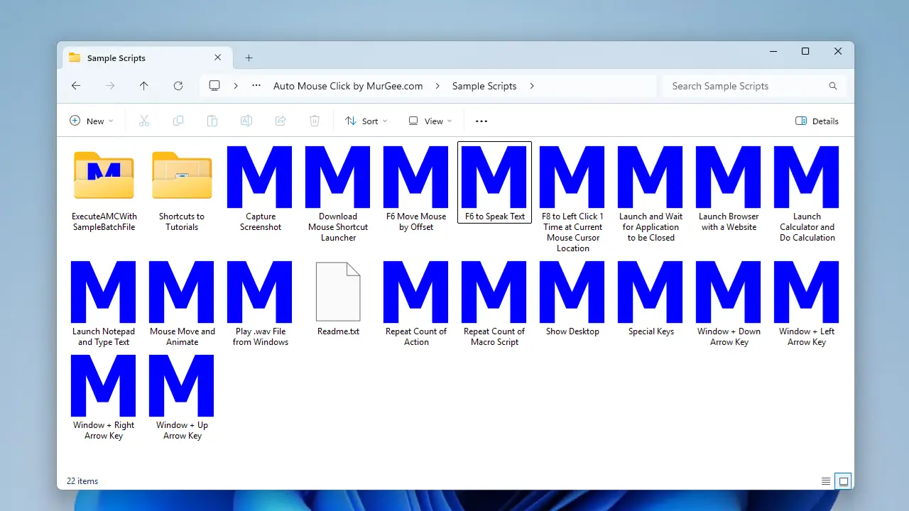 Screenshot of Folder containing Sample Scripts to Automate desktop applications