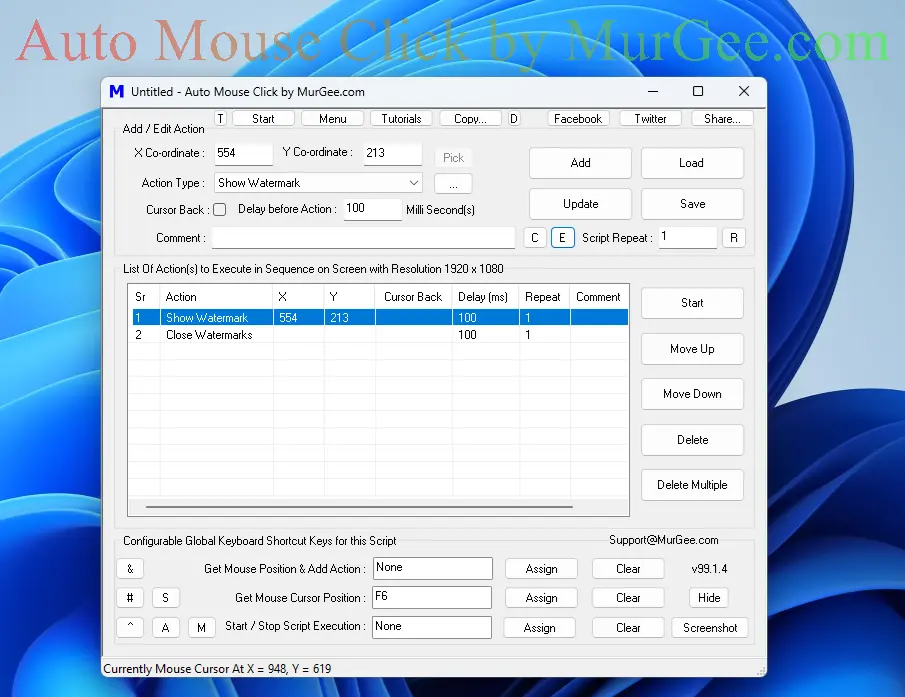 Display Screen Watermark from a Macro Action in the Script